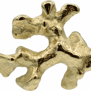 Geelgouden Koraal Oorsteker - Saint-Malo