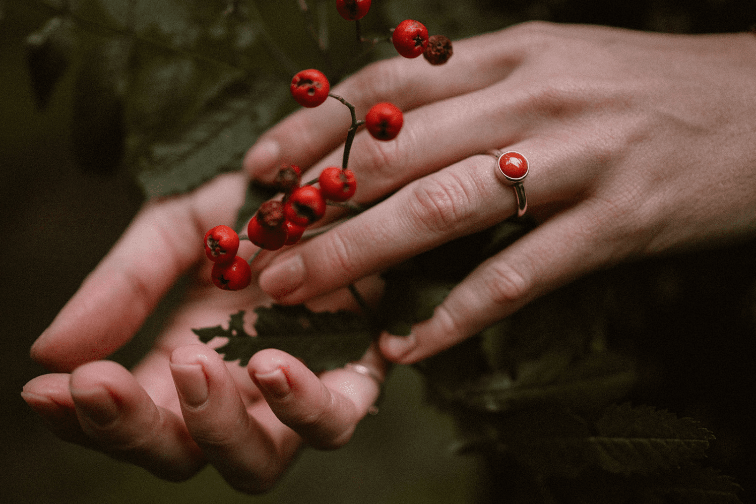 Gouden ring met bloedkoraal