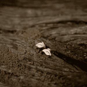 Vergulde oorstekers - Leaf