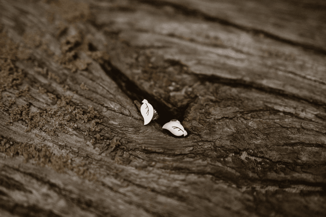 Zilveren oorstekers - Leaf