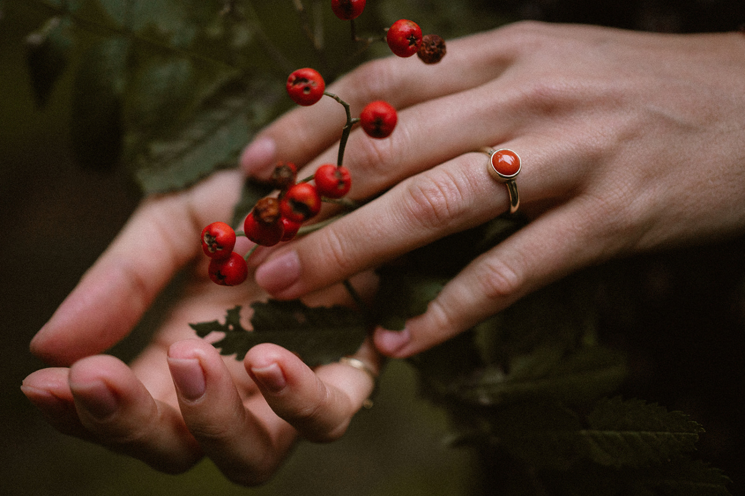 Gouden ring met bloedkoraal