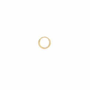 Single Plain Ring Earring