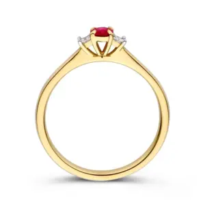 Geelgouden ring met robijn en diamant